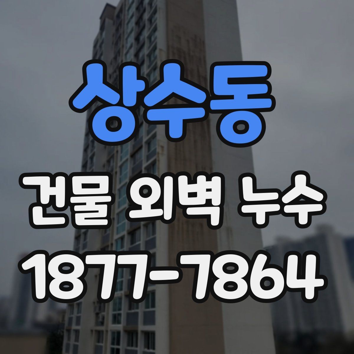 상수동 건물 외벽 누수 발생 원인별 사례 정리