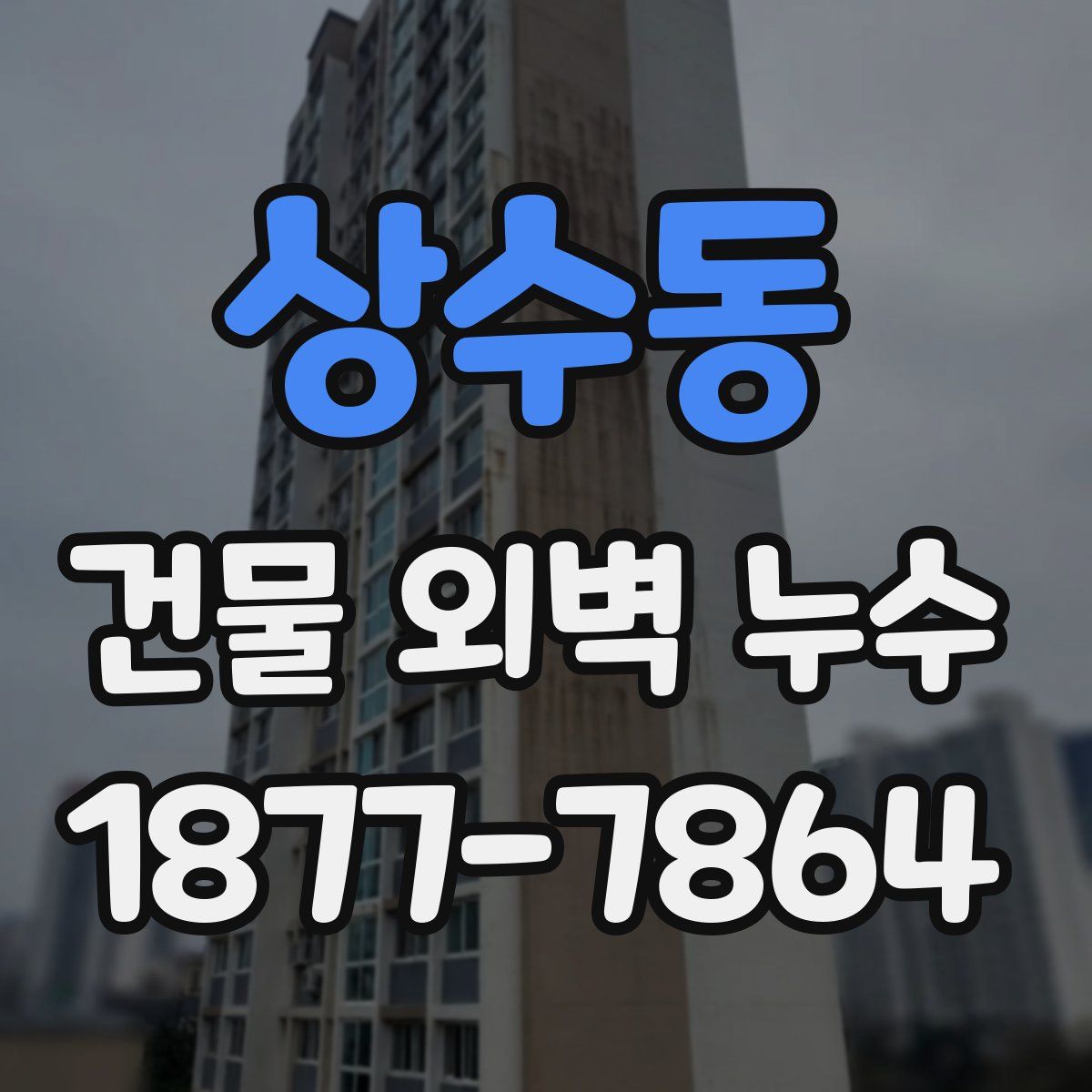 상수동 건물 외벽 누수