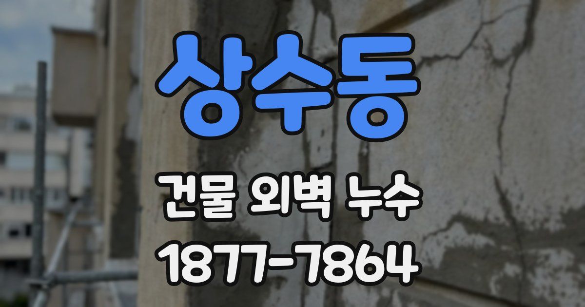 상수동 건물 외벽 누수