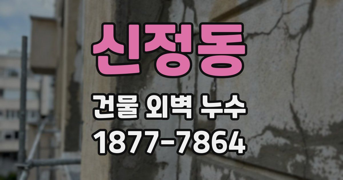 신정동 건물 외벽 누수