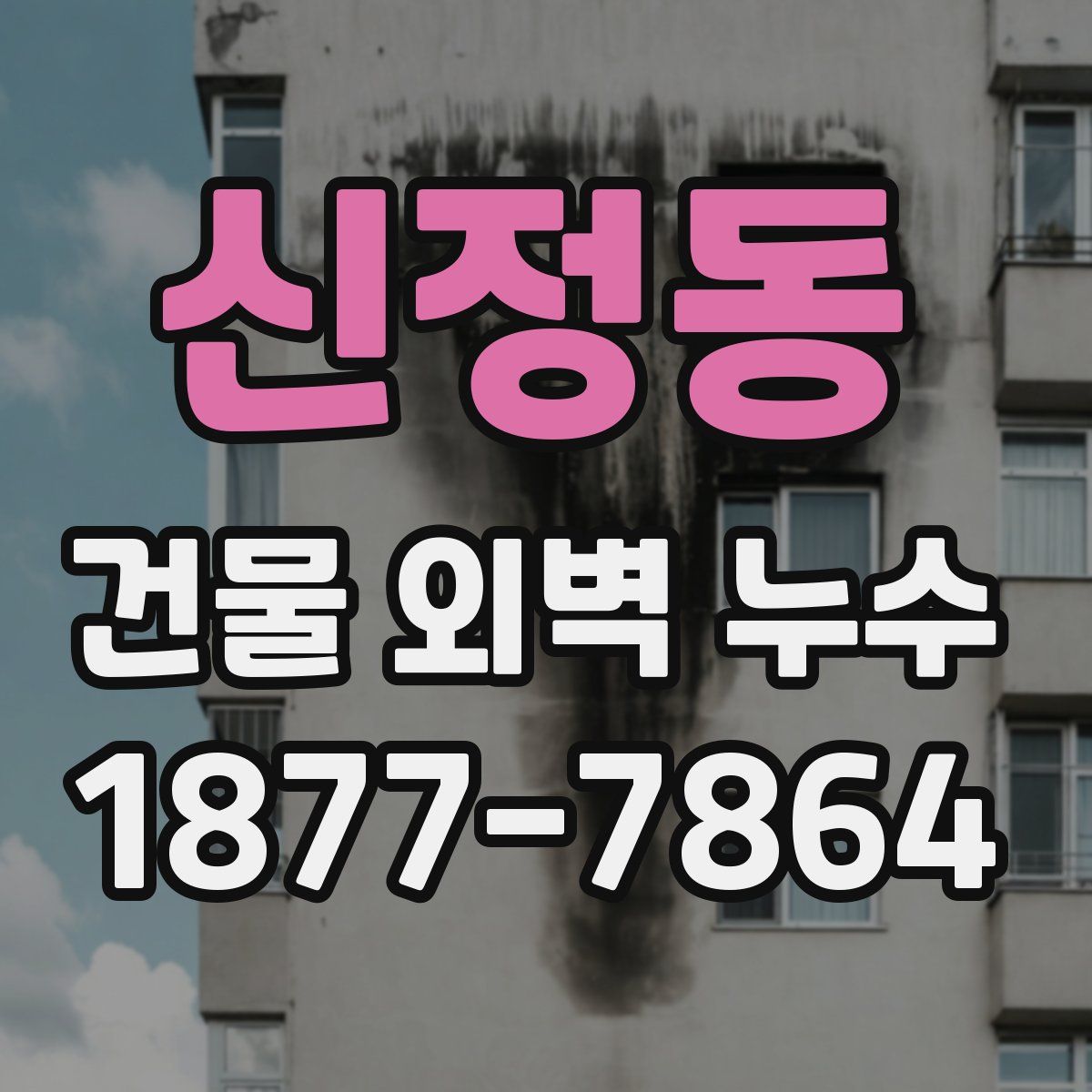 신정동 건물 외벽 누수