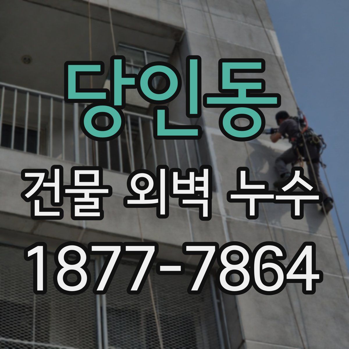 당인동 건물 외벽 누수