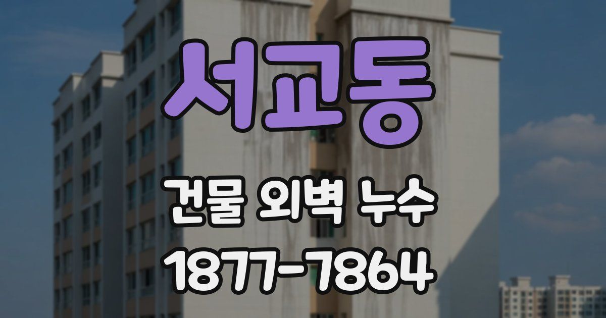 서교동 건물 외벽 누수