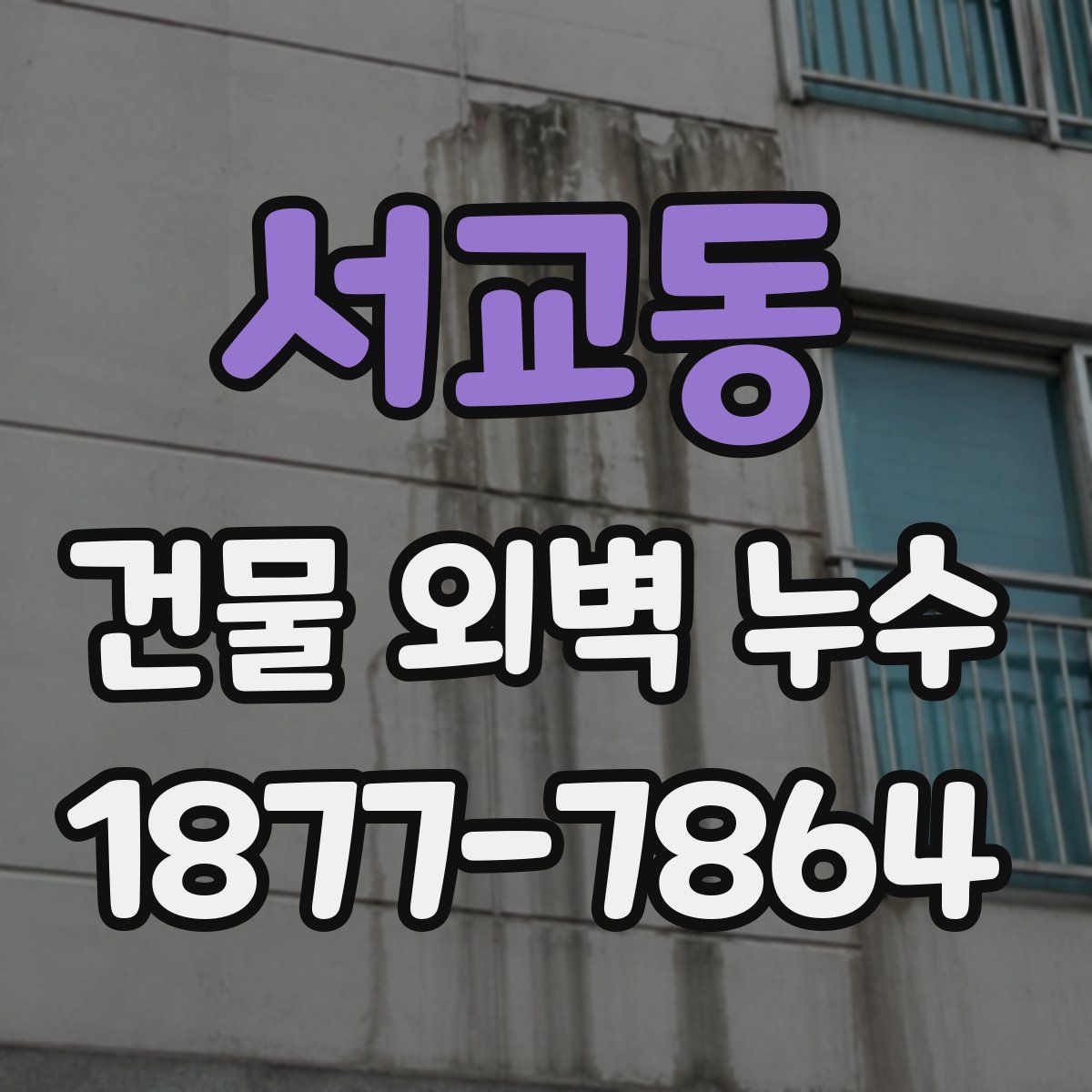 서교동 건물 외벽 누수