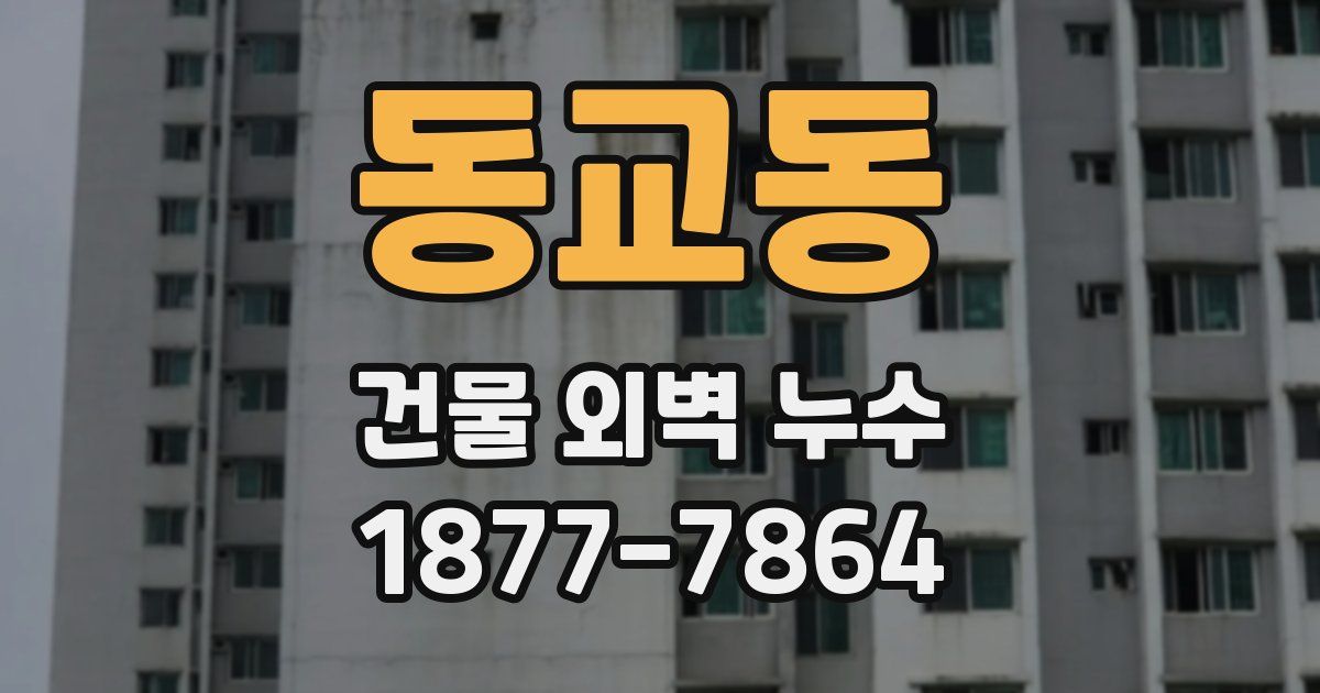 동교동 건물 외벽 누수