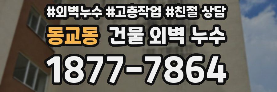 동교동 건물 외벽 누수