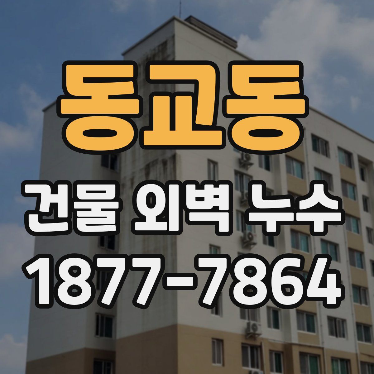 동교동 건물 외벽 누수