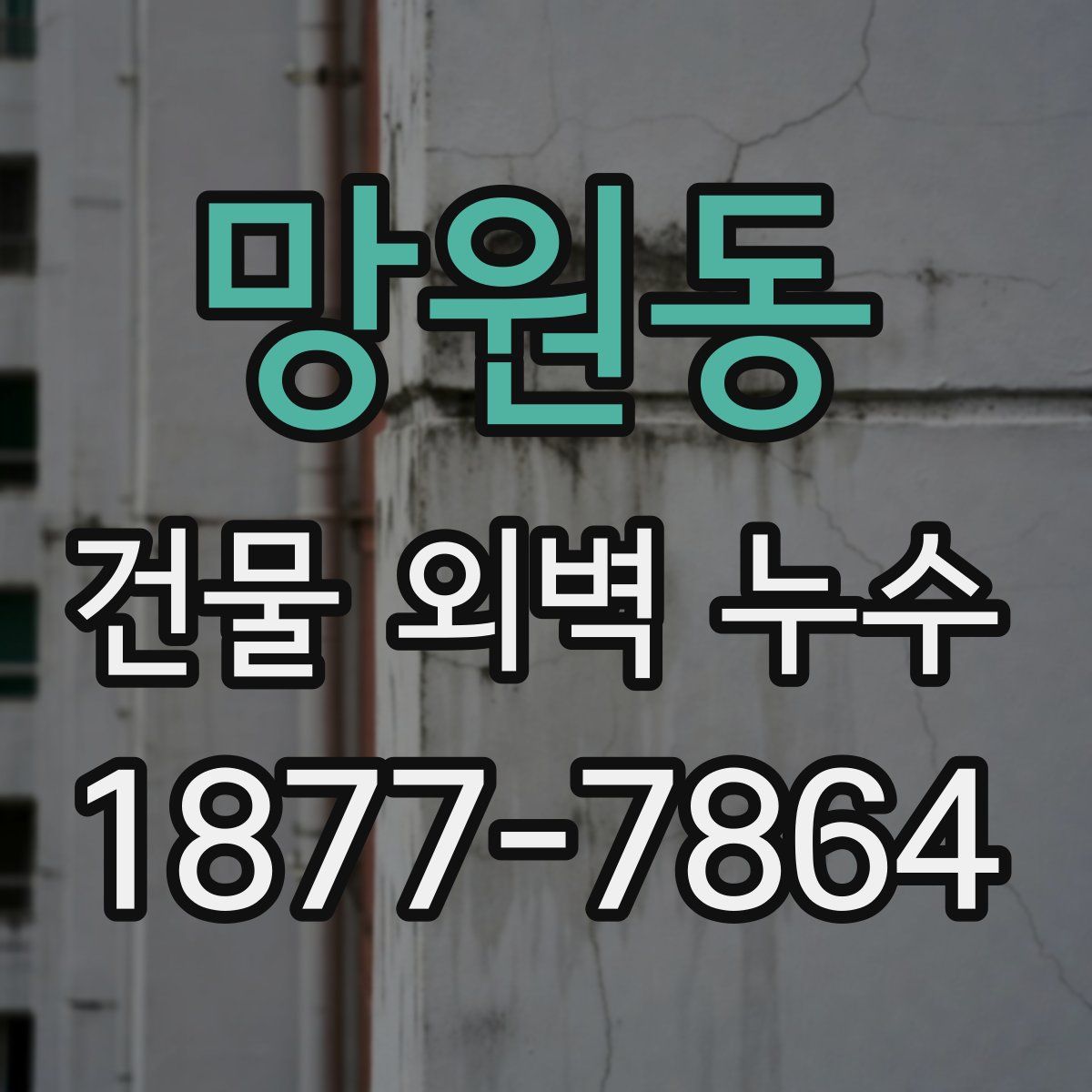 망원동 건물 외벽 누수