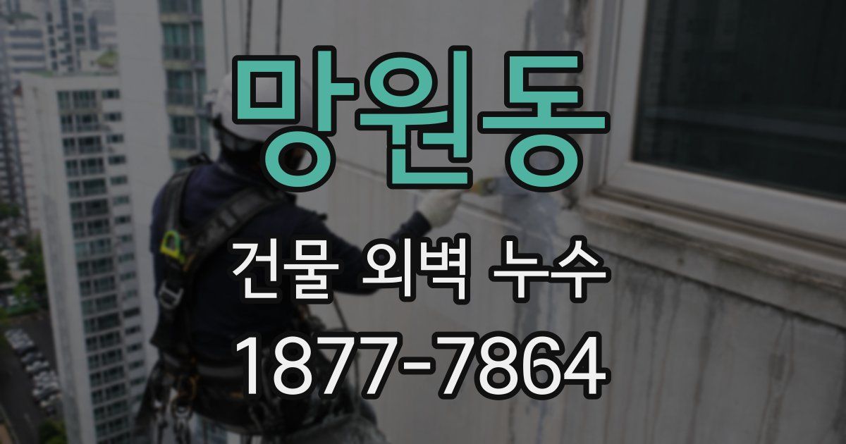 망원동 건물 외벽 누수
