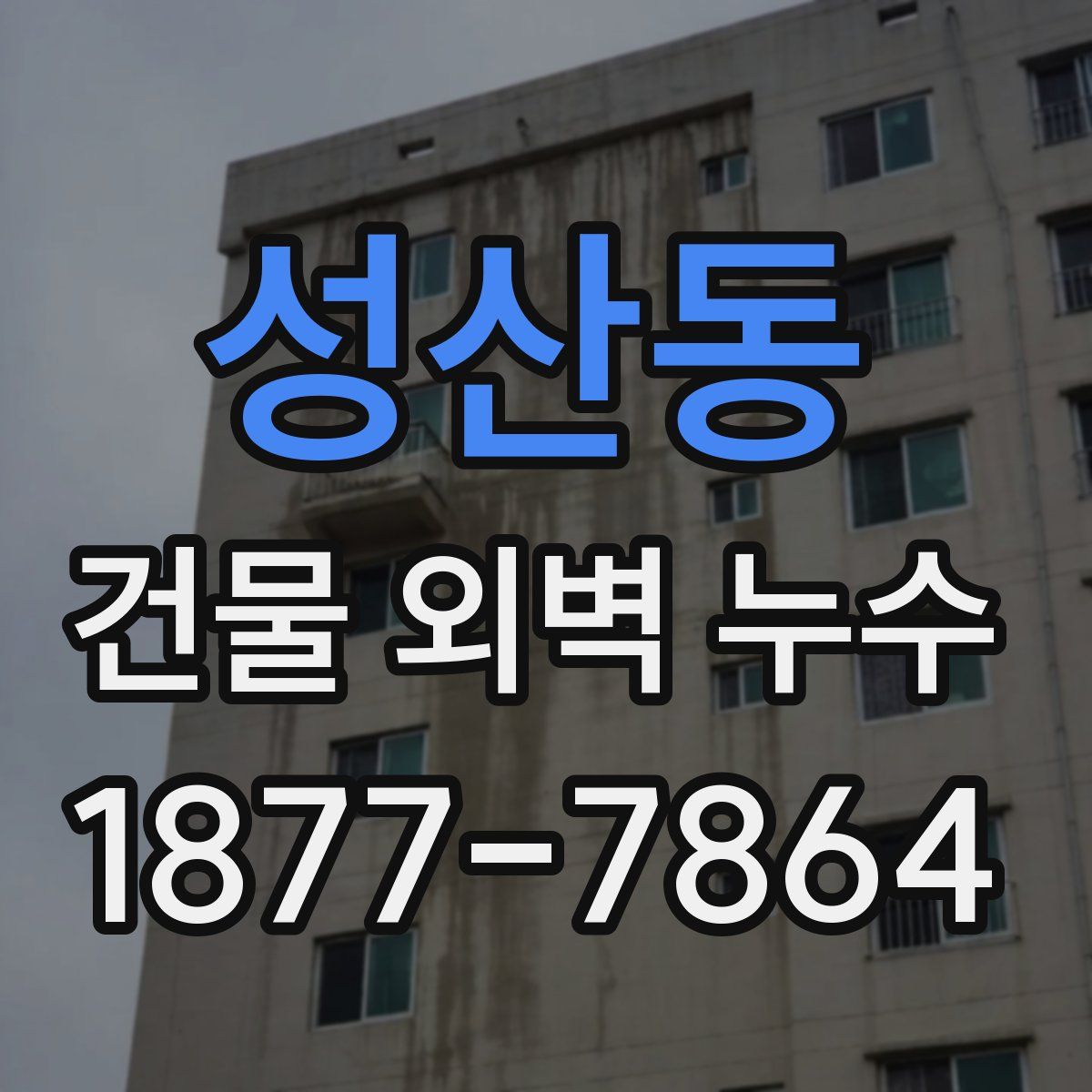 성산동 건물 외벽 누수