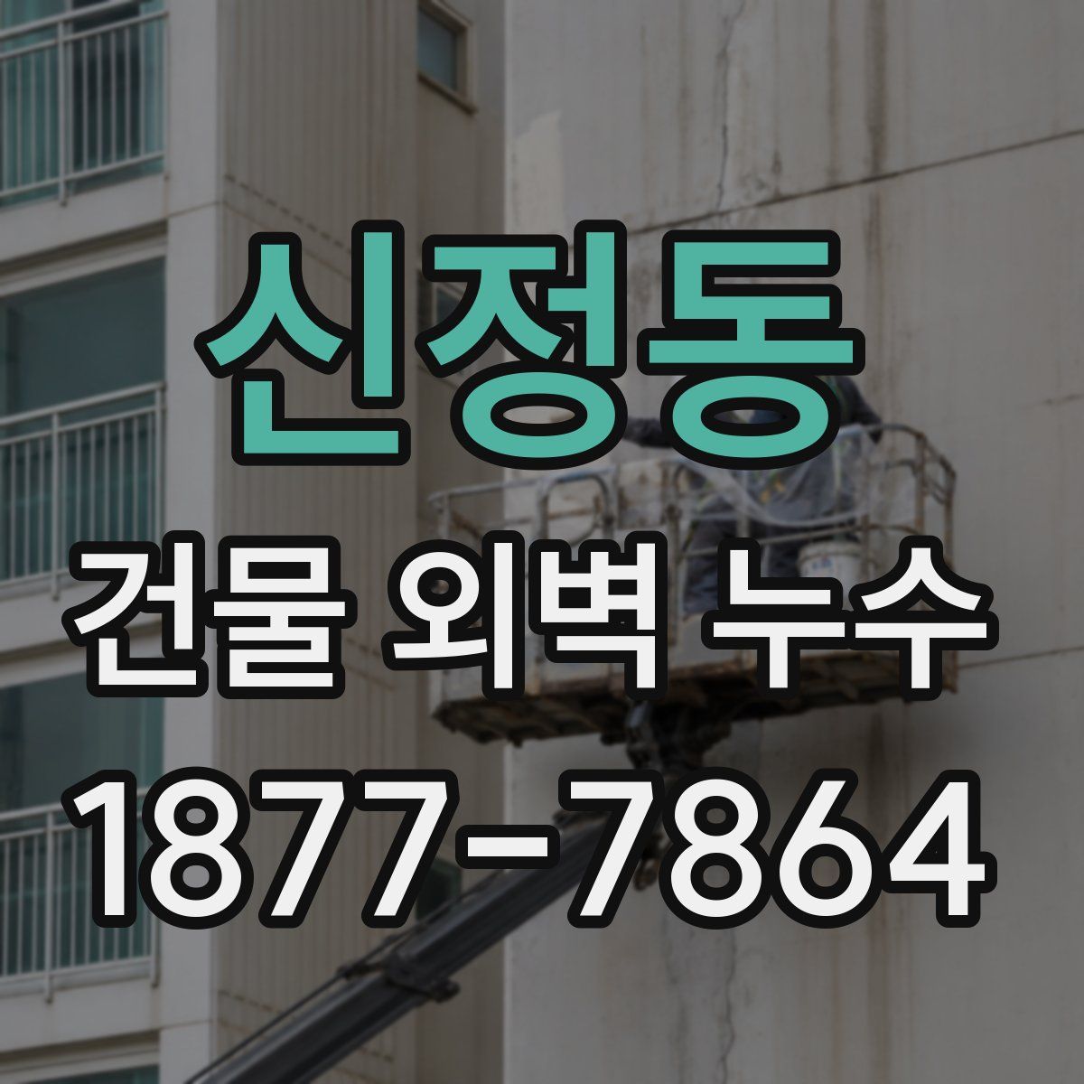 신정동 건물 외벽 누수