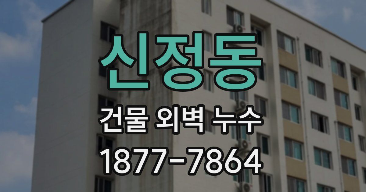 신정동 건물 외벽 누수