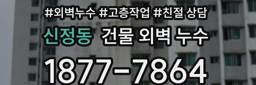 신정동 건물 외벽 누수