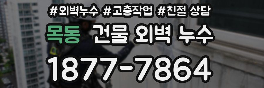 목동 건물 외벽 누수