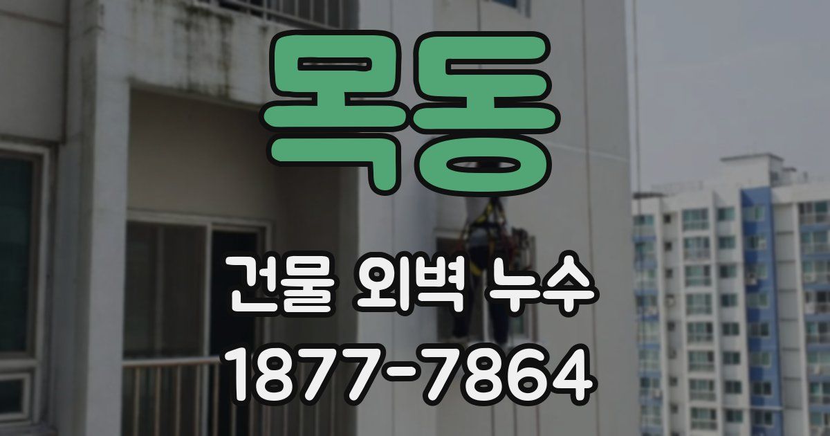 목동 건물 외벽 누수