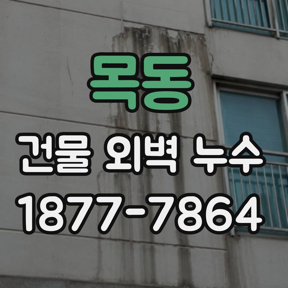 목동 건물 외벽 누수