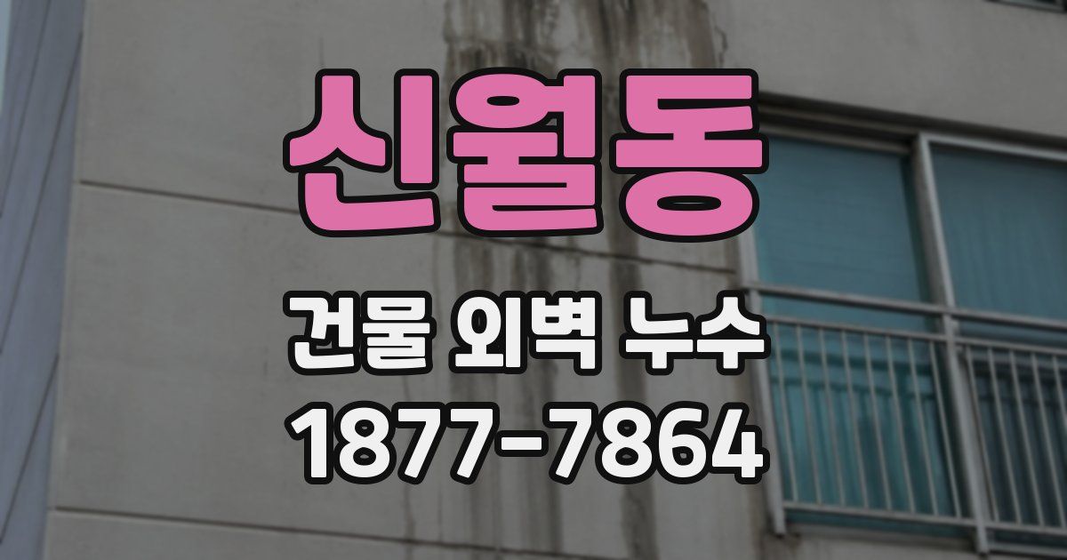 신월동 건물 외벽 누수