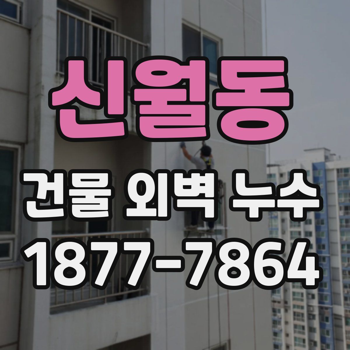 신월동 건물 외벽 누수