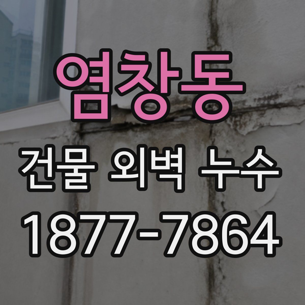 염창동 건물 외벽 누수
