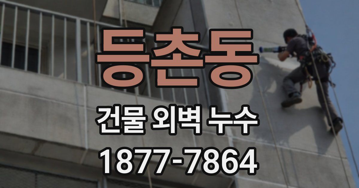 등촌동 건물 외벽 누수