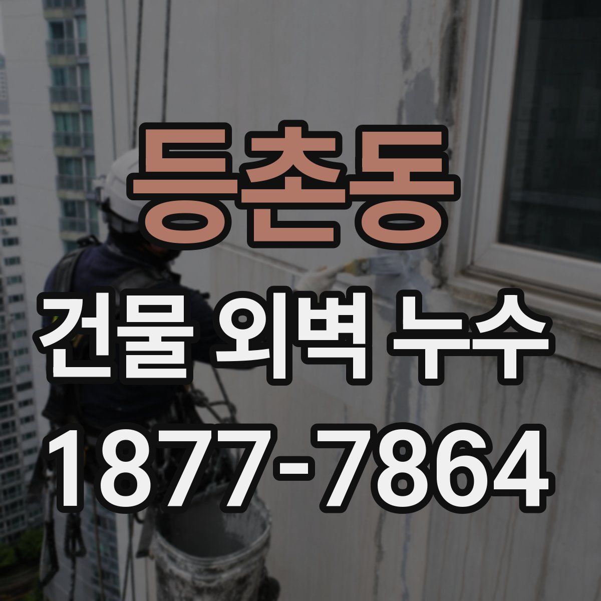 등촌동 건물 외벽 누수