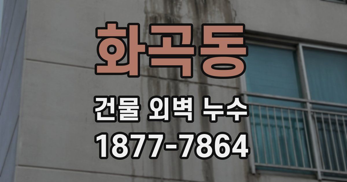 화곡동 건물 외벽 누수