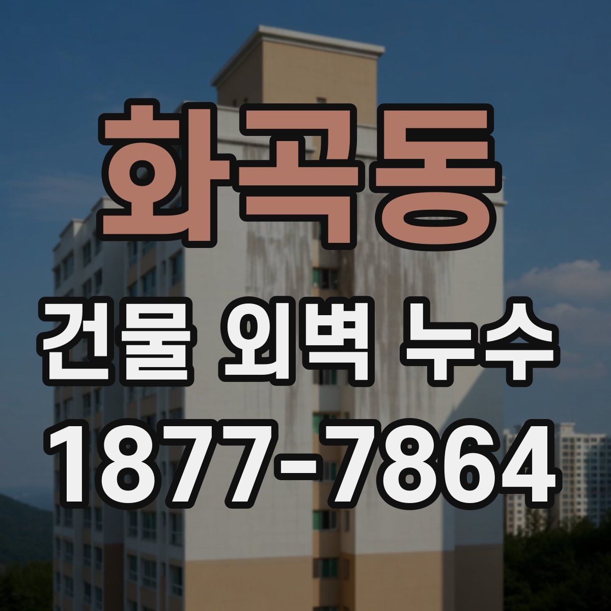 화곡동 건물 외벽 누수