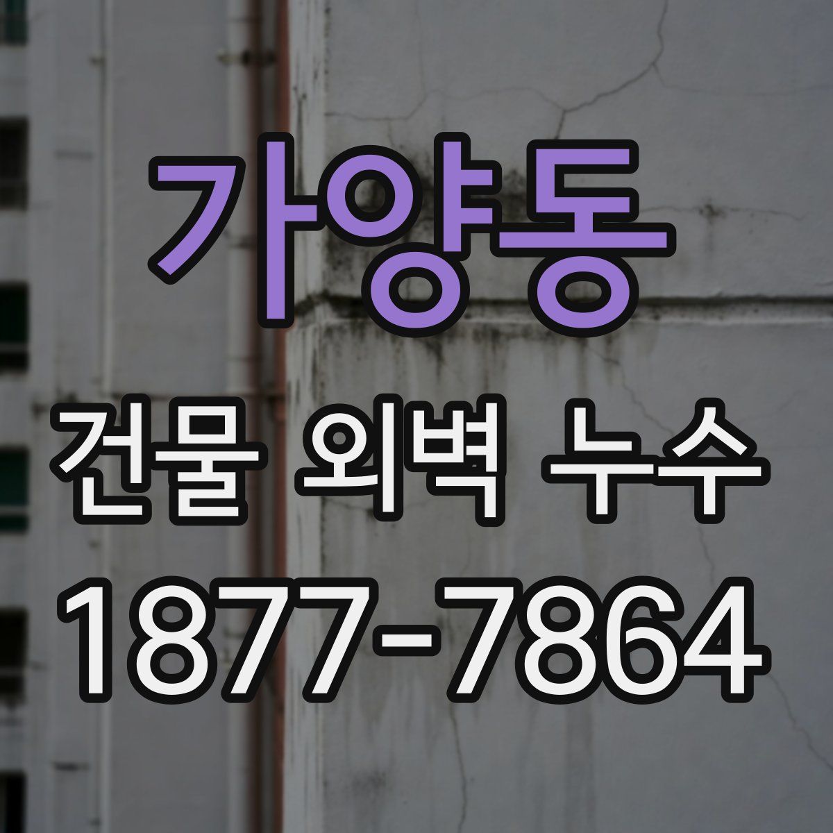 가양동 건물 외벽 누수
