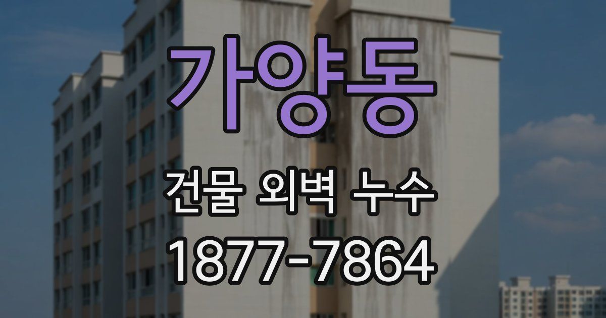 가양동 건물 외벽 누수
