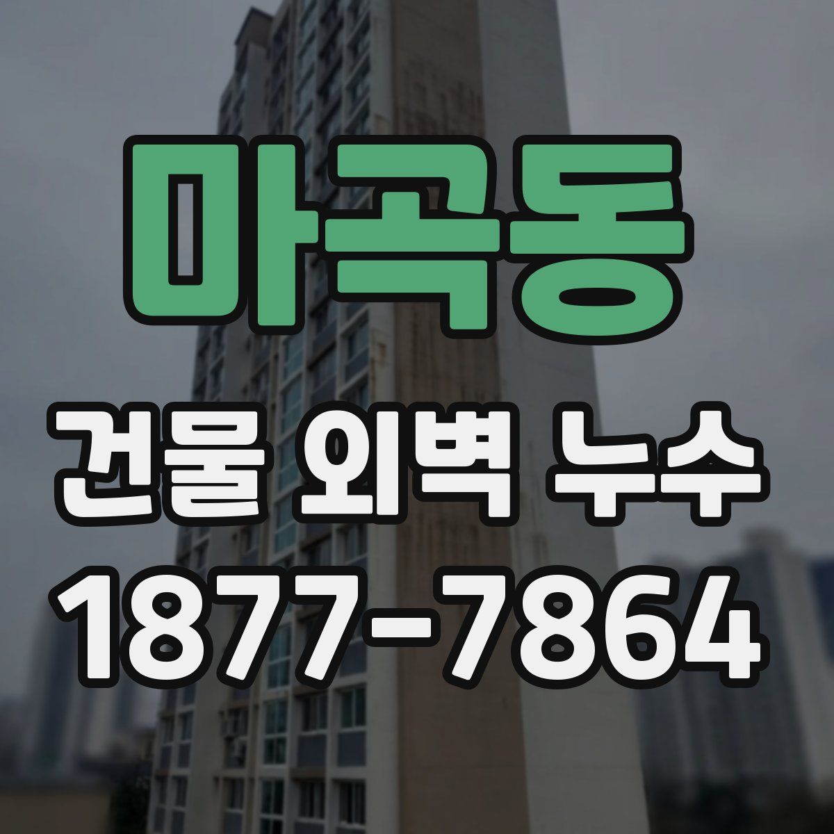 마곡동 건물 외벽 누수