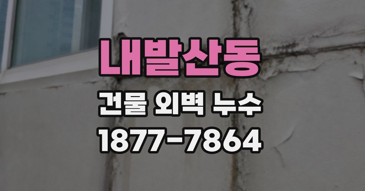 내발산동 건물 외벽 누수