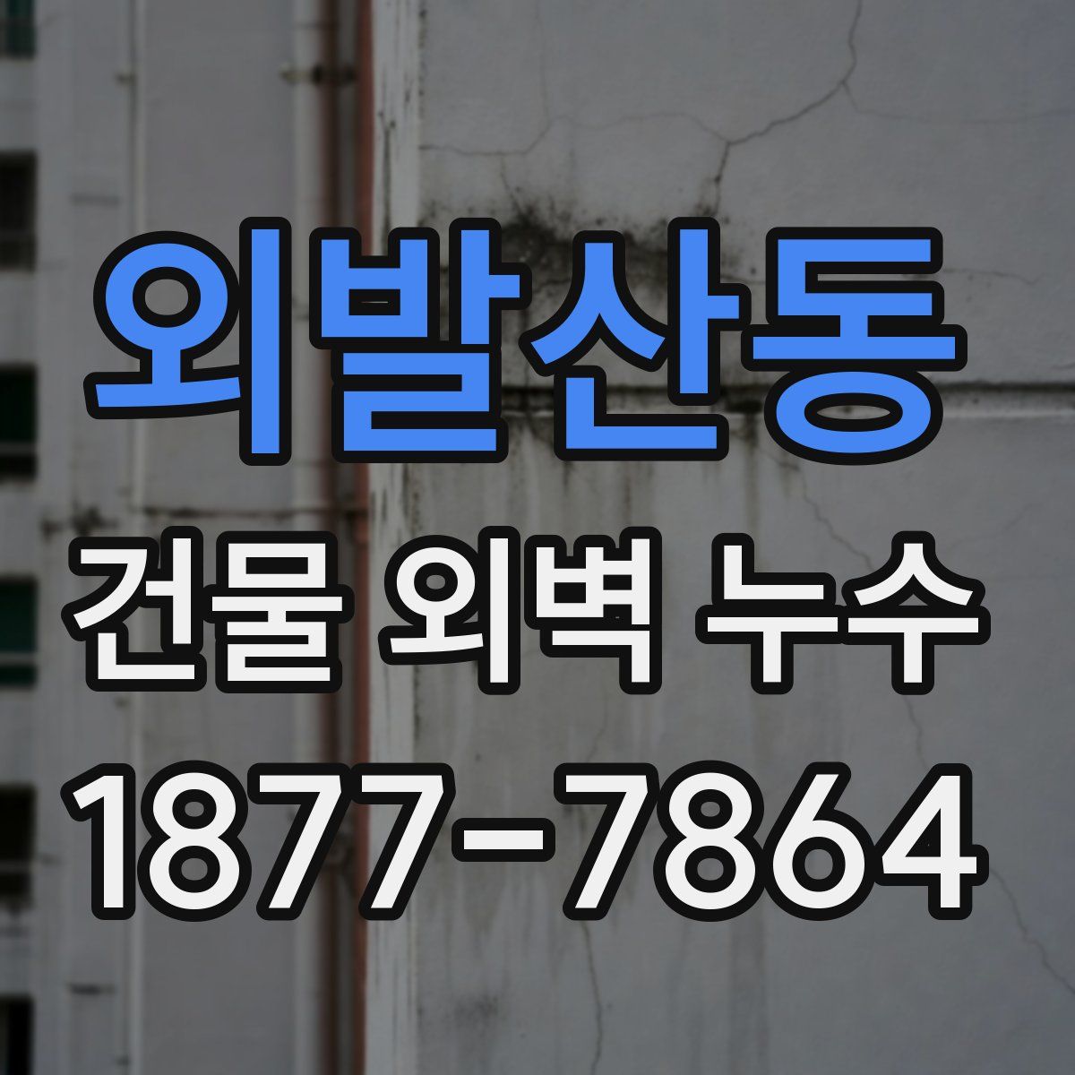 외발산동 건물 외벽 누수