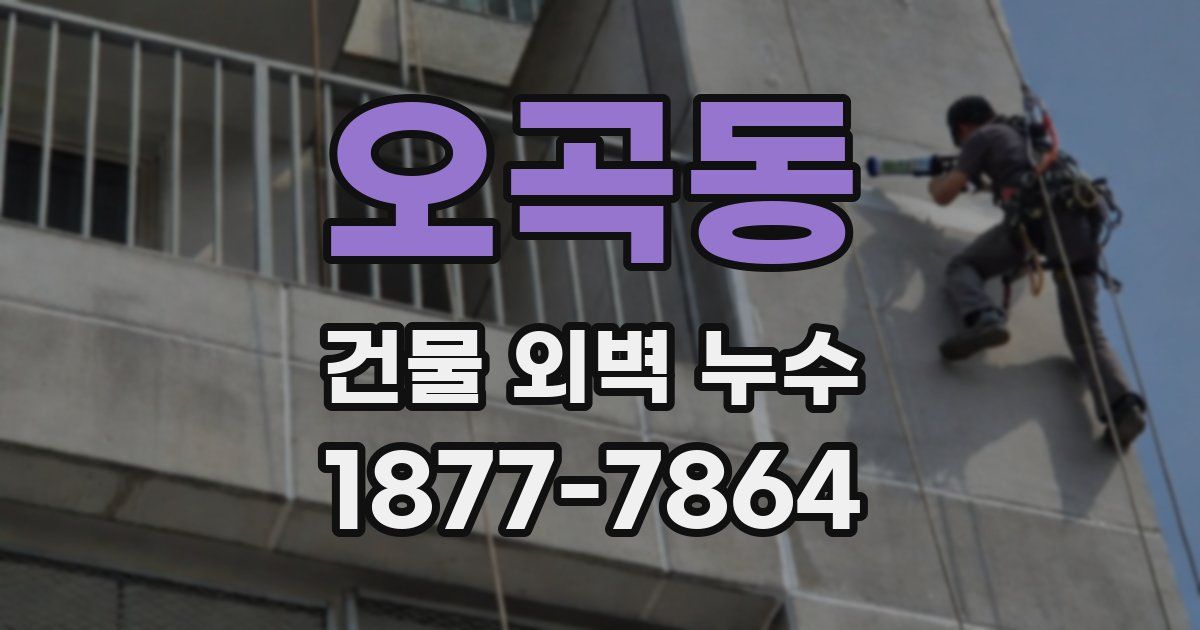 오곡동 건물 외벽 누수