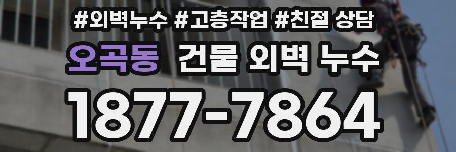 오곡동 건물 외벽 누수
