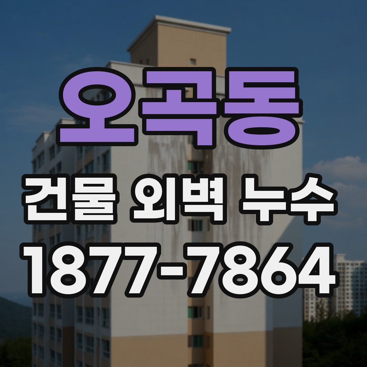 오곡동 건물 외벽 누수