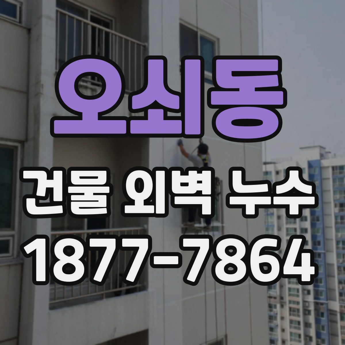 오쇠동 건물 외벽 누수