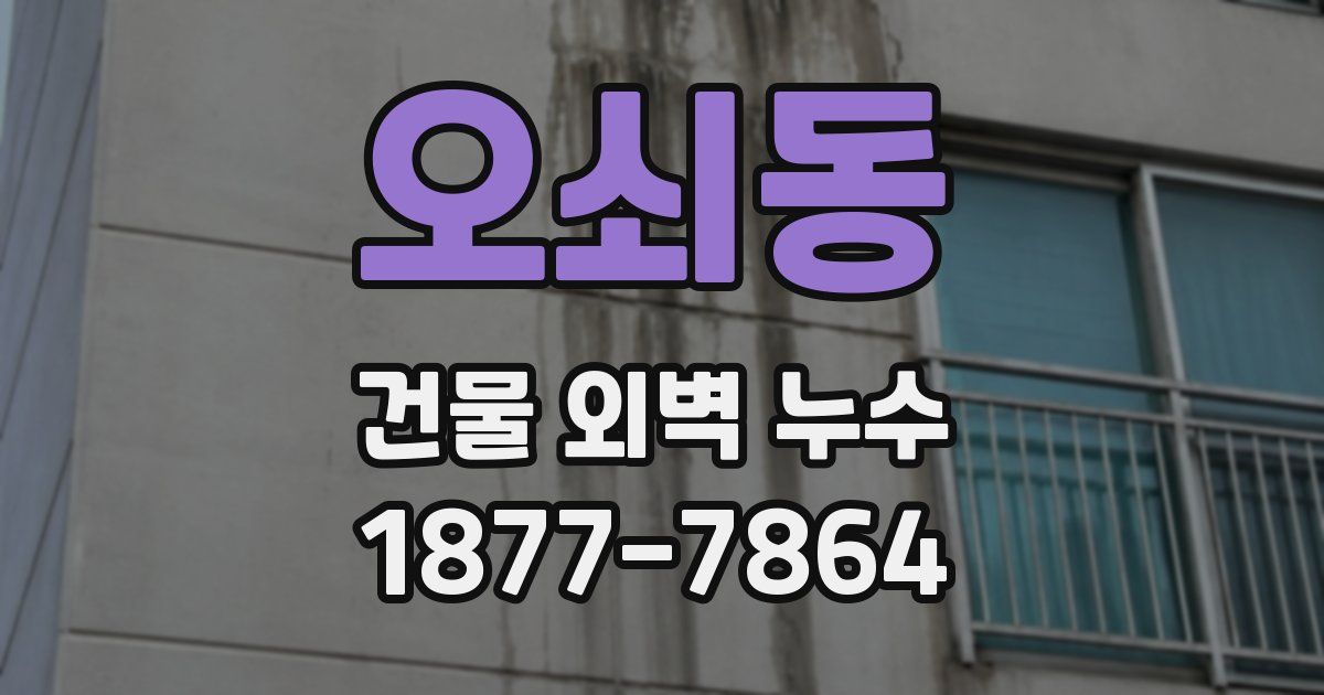 오쇠동 건물 외벽 누수