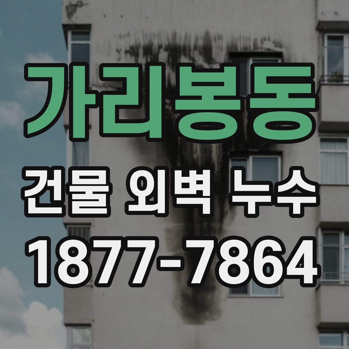 가리봉동 건물 외벽 누수