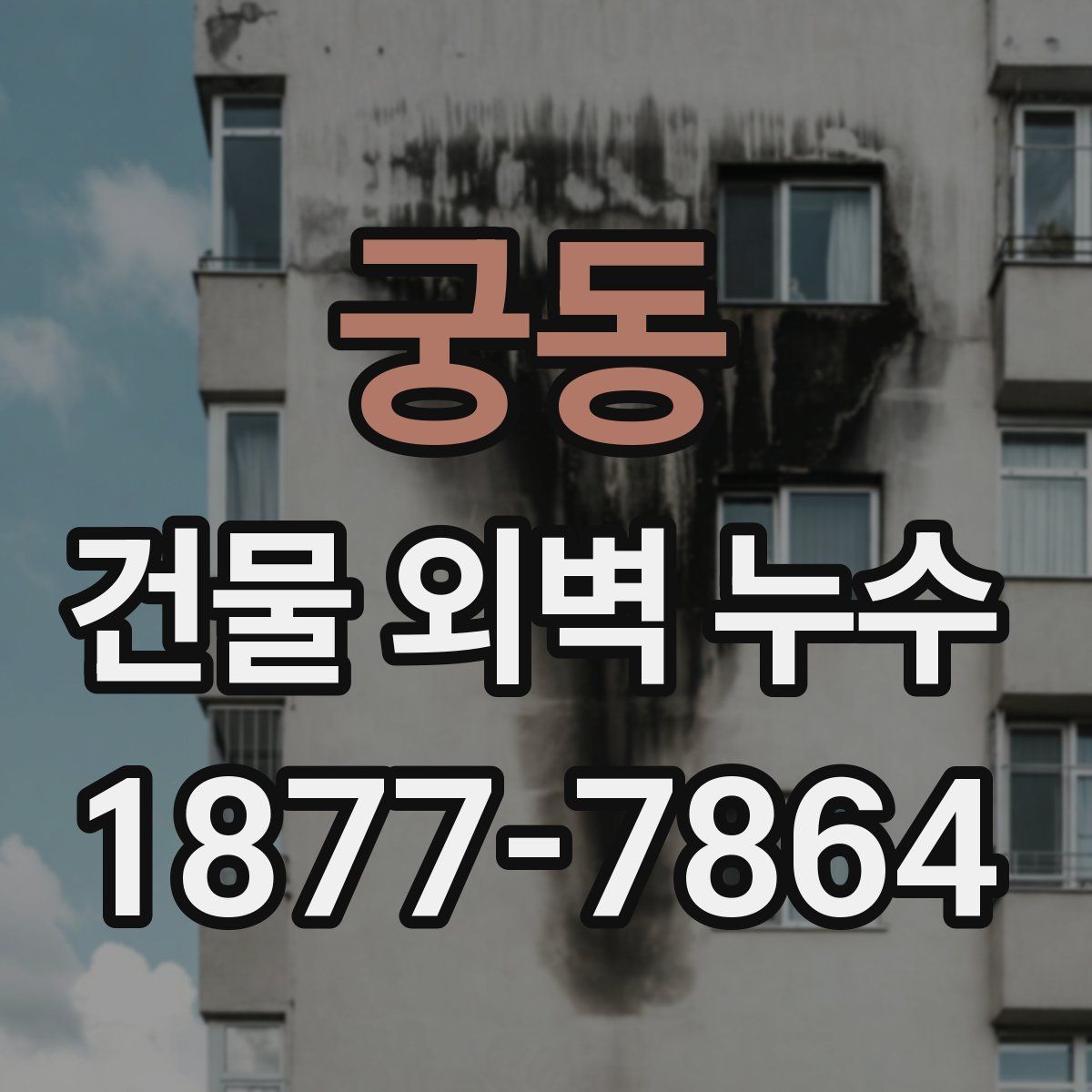 궁동 건물 외벽 누수