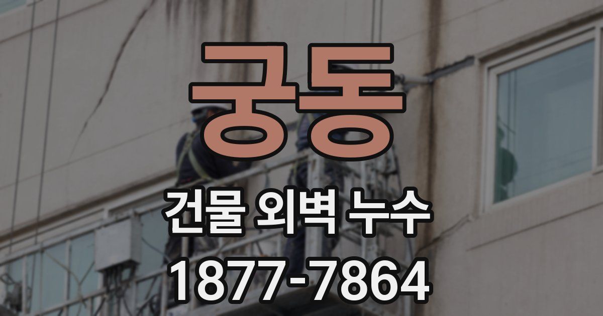 궁동 건물 외벽 누수