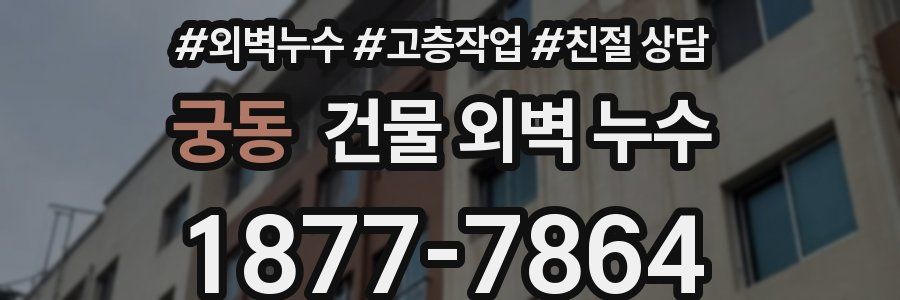 궁동 건물 외벽 누수