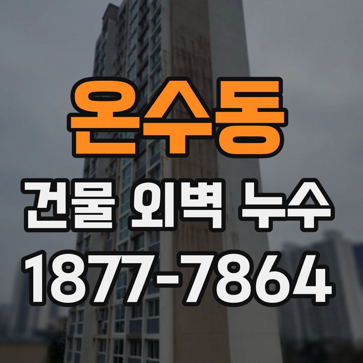 온수동 건물 외벽 누수