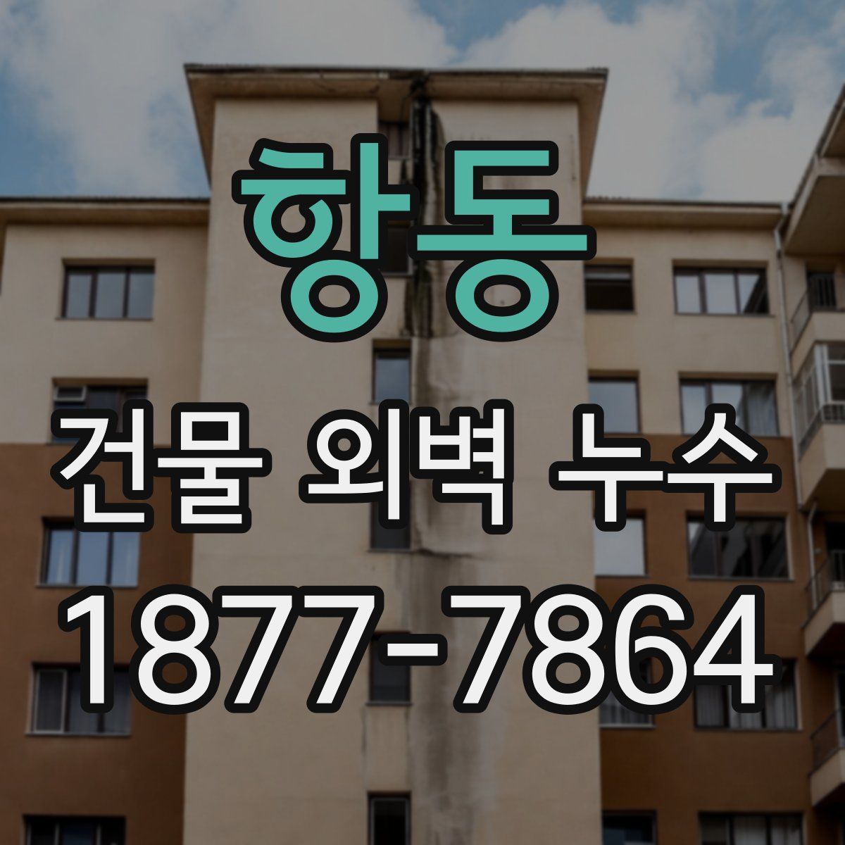 항동 건물 외벽 누수
