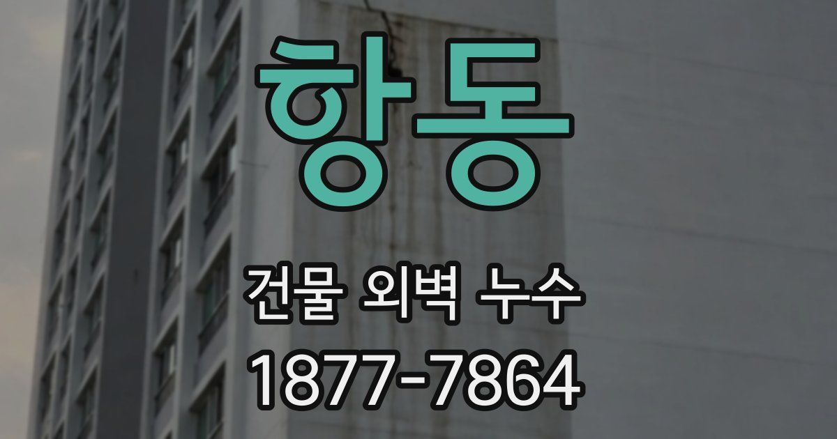 항동 건물 외벽 누수