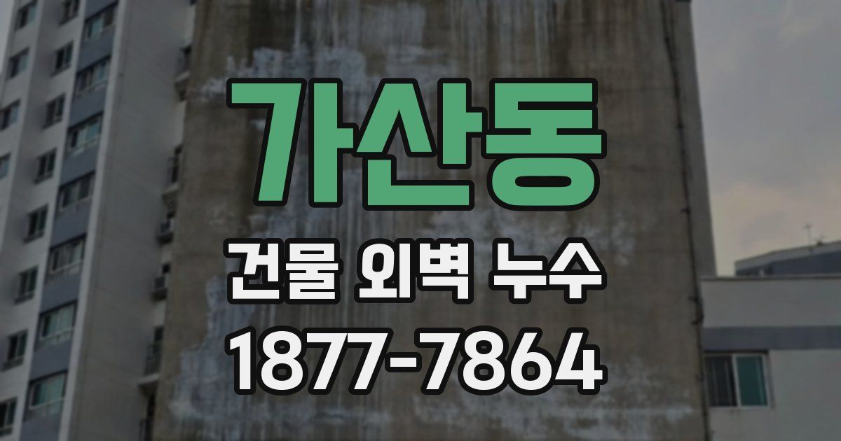 가산동 건물 외벽 누수