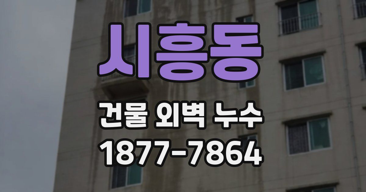 시흥동 건물 외벽 누수