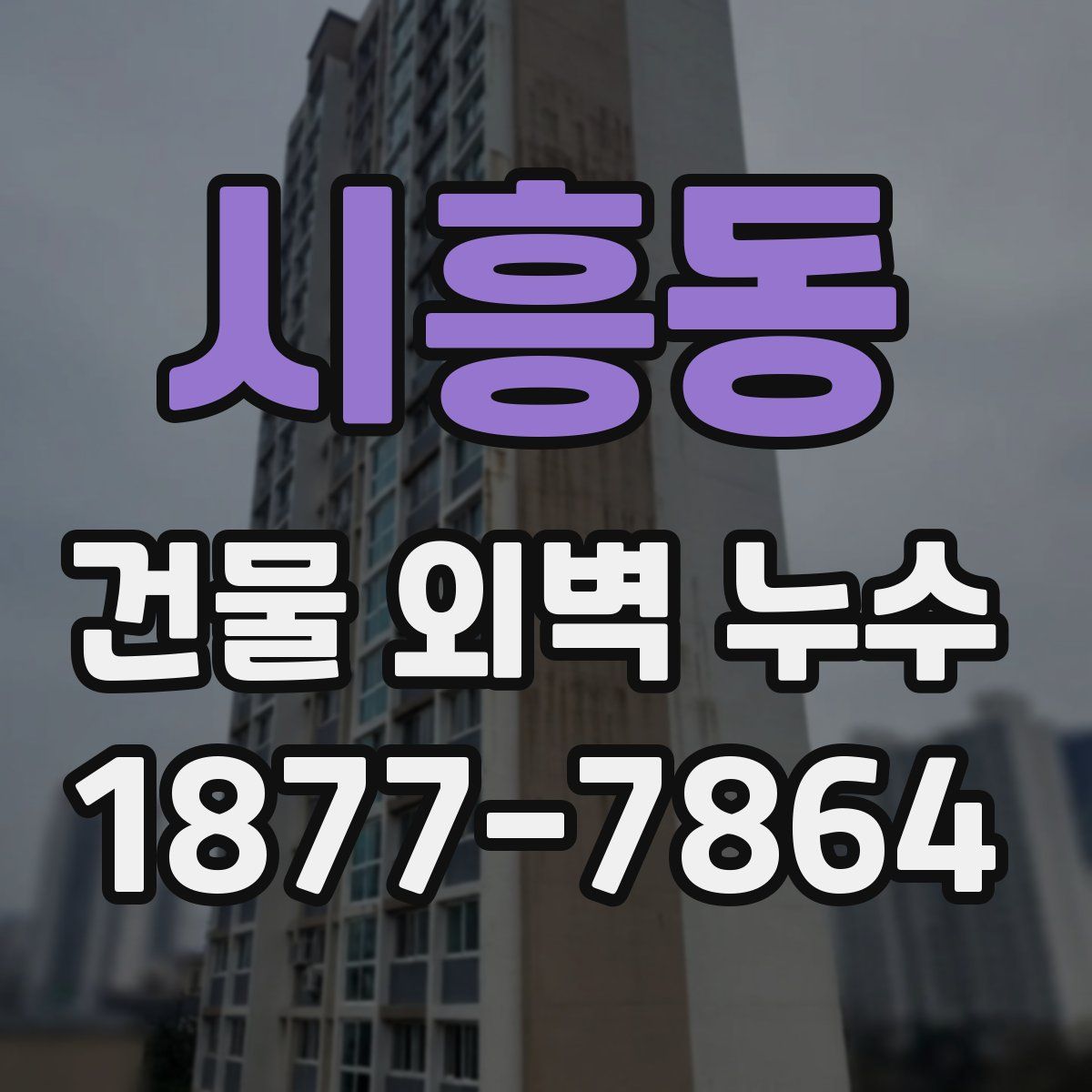 시흥동 건물 외벽 누수