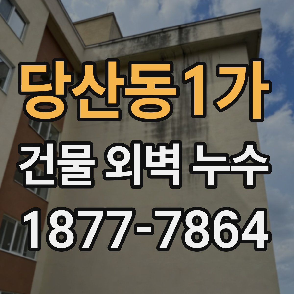 당산동1가 건물 외벽 누수