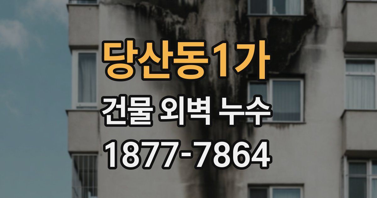 당산동1가 건물 외벽 누수