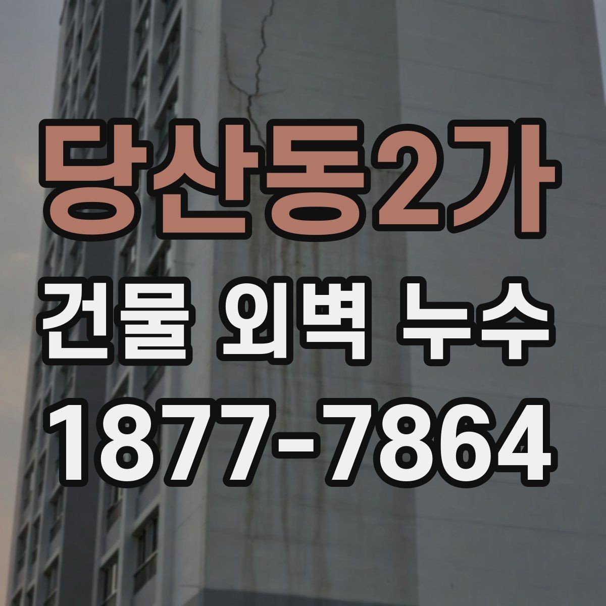 당산동2가 건물 외벽 누수 발생 시 우선 확인할 부위